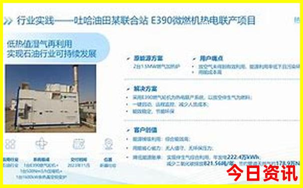 2025新奥历史开奖记录19期